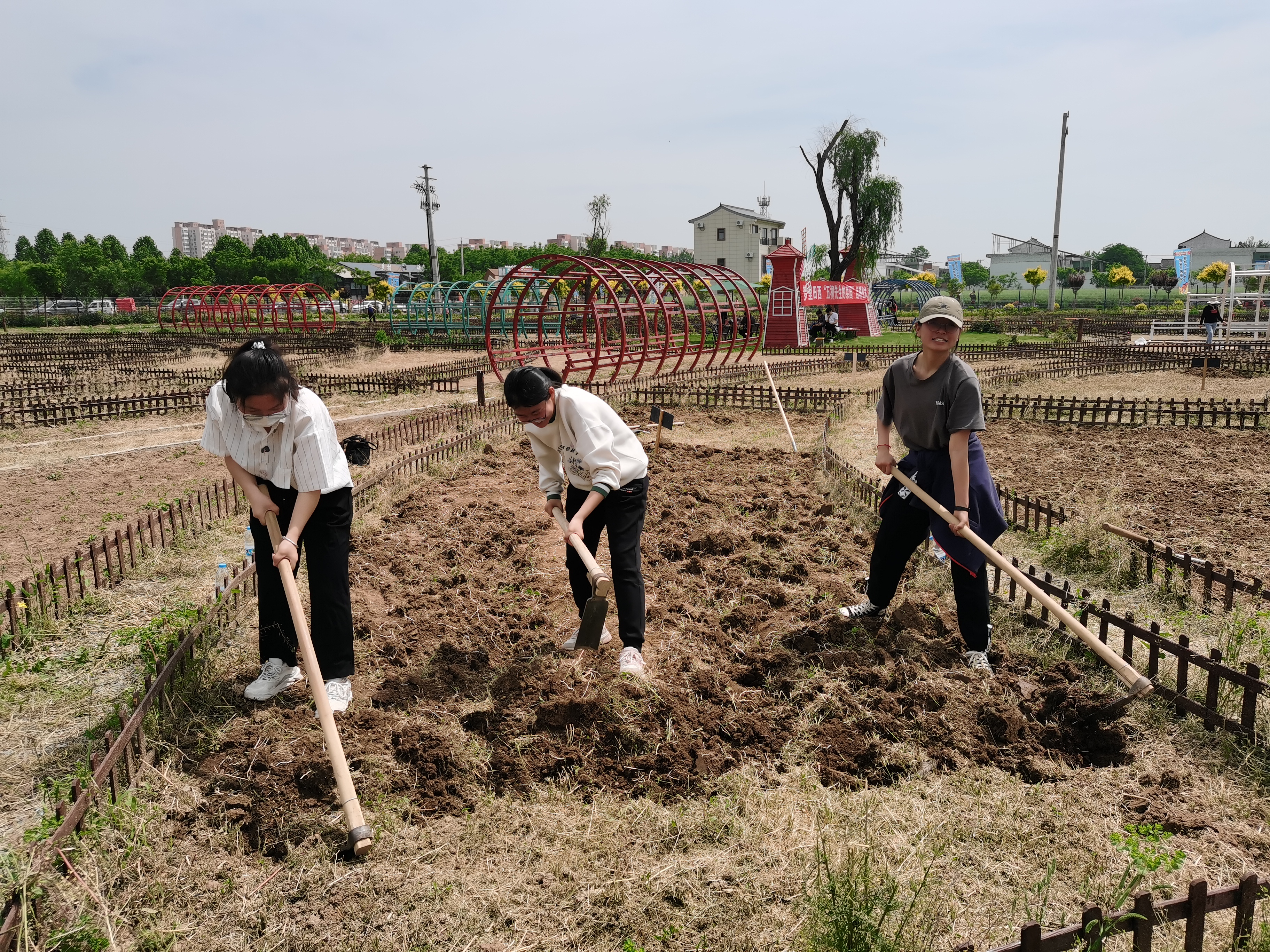 2306654cae12414c9ddb3d2d92227634.png 2306654cae12414c9ddb3d2d92227634.png